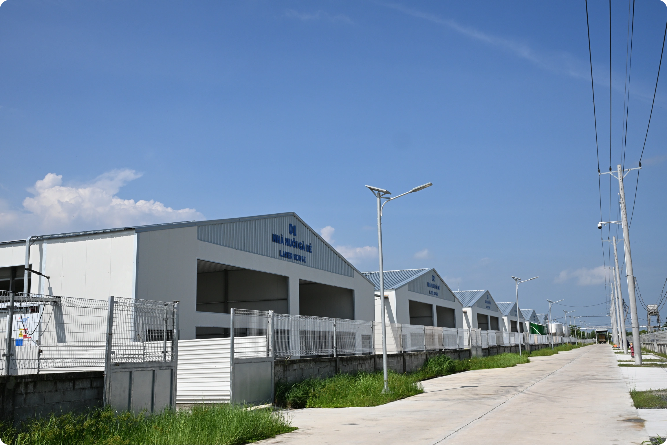 Mebi Farm tại sự kiện